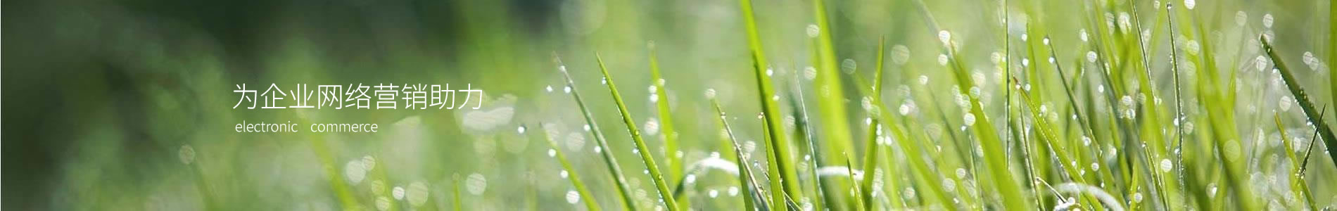 ڹܵ޹˾